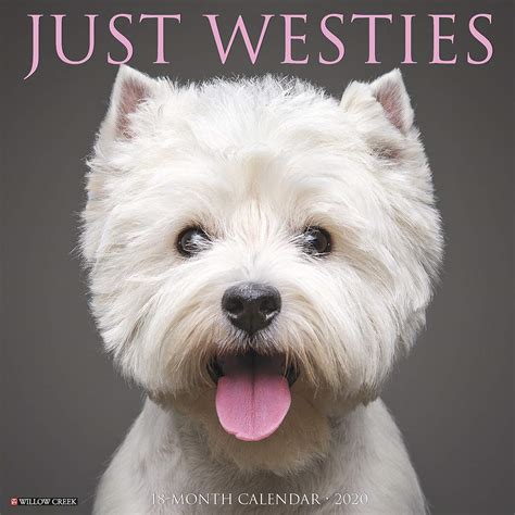Read Online Just Westies 2020 Wall Calendar Dog Breed Calendar By Not A Book