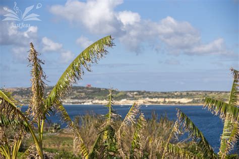 Justjess Leaked +18 🍆 34 Videos