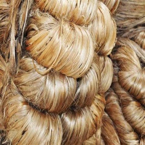 Jute Fiber for Sale & Supplier at Bast Fibers LLC