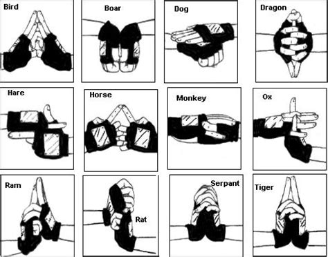 7 The Ninja Art: Mind Transfer Jutsu Made The Yamanaka One Of Konoha's Most Venerated Clans. . Jutsus