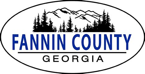 Juvenile Court - Fannin County Georgia Government