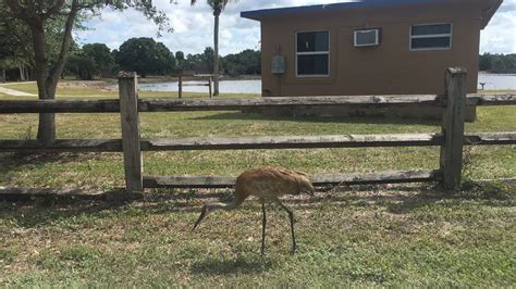 Jw Corbett Wildlife Management Area - Jupiter, FL