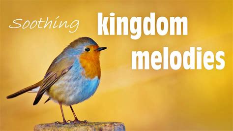 Jun 15, 2020 · My homemade audio of kingdom melodies 11 & 145 with some HD video's.MORE INFO about creation, future paradise on earth and much more, here:https://www.jw.org... . 