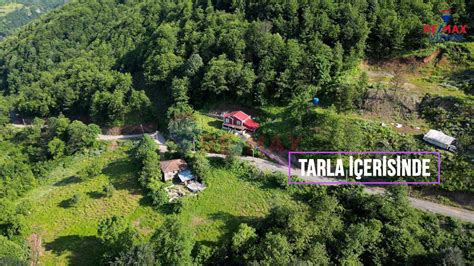 codini.rgarabwor.edu.pl. 