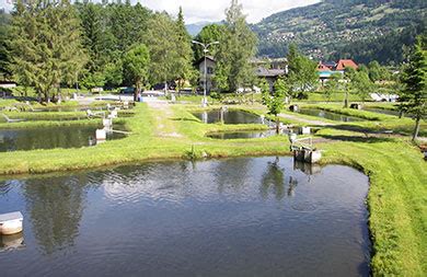 Kärnten Fisch - Fischzucht Andreas Hofer in Feld am See - Falstaff