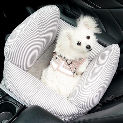 Köpek koltuğu araba