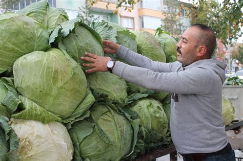 Kış mevsiminin Şubat ayında piyasaya sürülen taze bürüksel lahanalar, pazar tezgahlarında yerini alır.