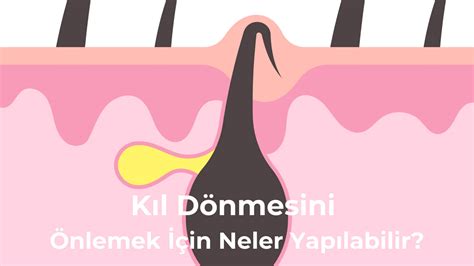 genssuffweb.rgarabwor.edu.pl. 