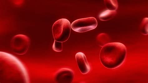 Kırmızı kan hücresi yüksekliği