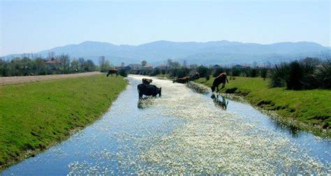 Kızılırmak'ın oluşturduğu bir delta ovasıdır.