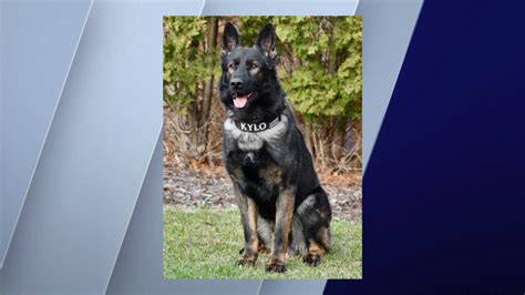 K-9 locates home invasion suspect after fleeing police in McHenry County