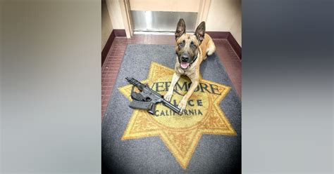 K-9 officer helps out in Livermore drug and weapons bust