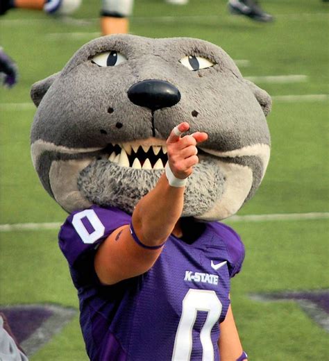 K-state mascot. Oct 17, 2018 · Created by a horticultural professor, Dr. Filinger, at K-State in 1955, this fictional Johnny was a larger-than-life character who dug the Kansas River Valley, invented sunflowers, and controlled the weather. Fun Fact: Johnny Kaw had two pets, a wildcat (like the K-State mascot) and a jayhawk (like the University of Kansas mascot). The two ... 
