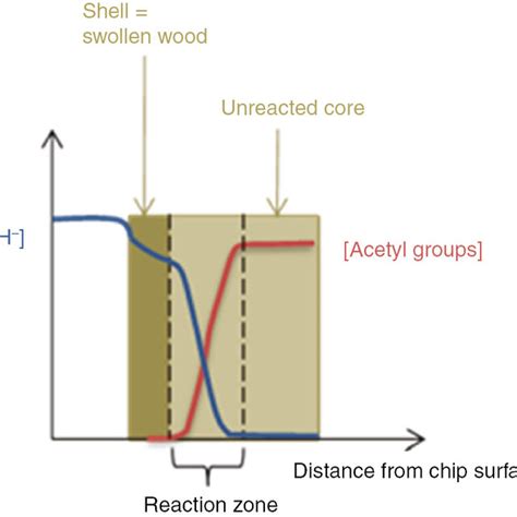 K2ll33d shell.  According to the research &hellip; Mar 3, 2026 · Did you know that th...