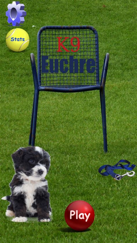 K9 Euchre APK Download for Android 