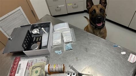 K9 officer sniffs out narcotics in Livermore traffic stop