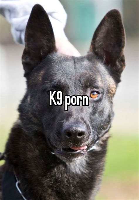 K9 porn. Things To Know About K9 porn. 