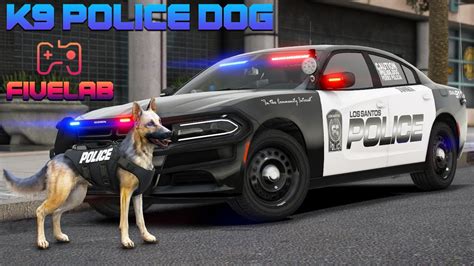This dog script allows players to spawn dogs & interact with them. As well as setting custom keybinds for each interaction with the dog. Commands / Keybinds. F1 - Open Menu (Customisable) R - Dog Attack (When aiming) Features. Simulate Searching vehicles, can be integrated with the Script package. Tell the dog to follow, stay, sit, lay down ...