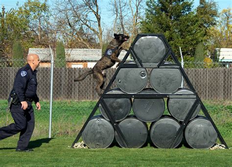 K9 training. Things To Know About K9 training. 