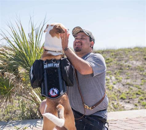 K9s for warriors. K9s for Warriors, an organization that has rescued over 1,500 dogs from shelters and trained them as service dogs for veterans with post-traumatic stress disorder, or PTSD, matched Romero with ... 