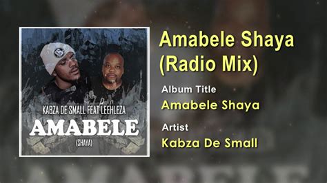 KABZA DE SMALL - AMABELE SHAYA (ORIGINAL MIX) FEAT. LEEHLEZA