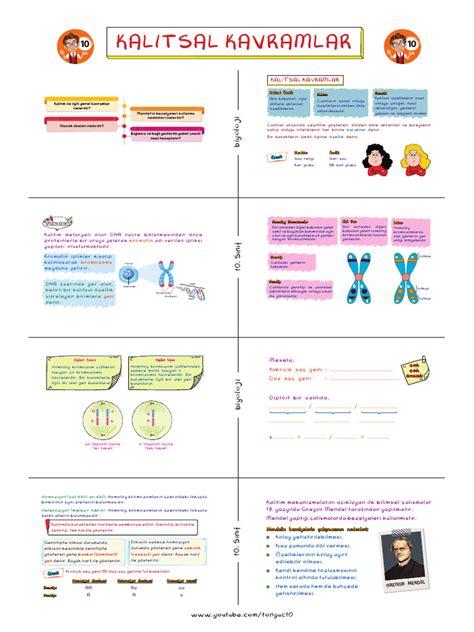 KALITSAL KAVRAMLAR.