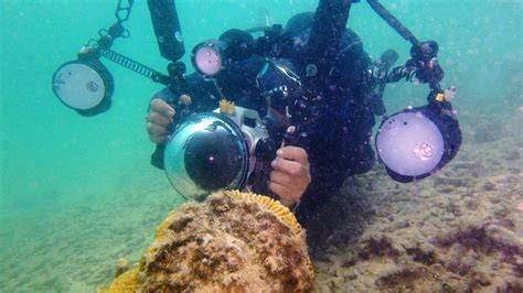 Kamera Bawah Laut - Jual Kamera Bawah Laut Terbaru Indonesia | Kamera ... - raincitystudios.com