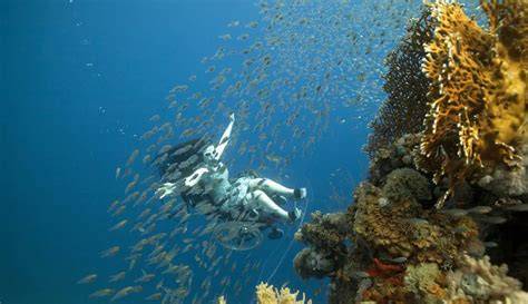 Kamera Laut Dalam: Menjelajah Dunia Gelap - SAINS dan TEKNOLOGI - raincitystudios.com