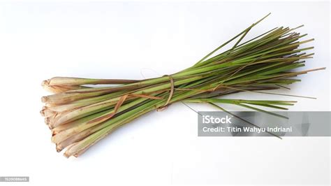 Kamijara Dan Sereh - muktibox.com