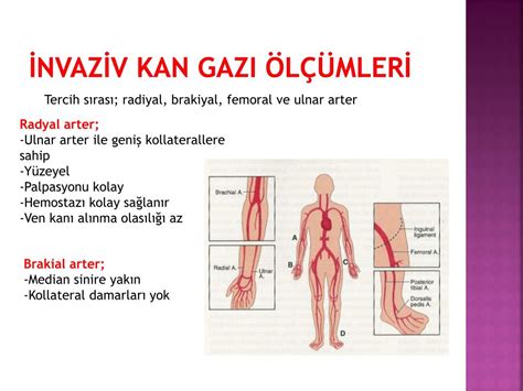 KAN GAZI ALMA TALİMATI.
