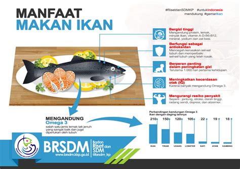 Kandungan dan Manfaat Ikan Laut - raincitystudios.com