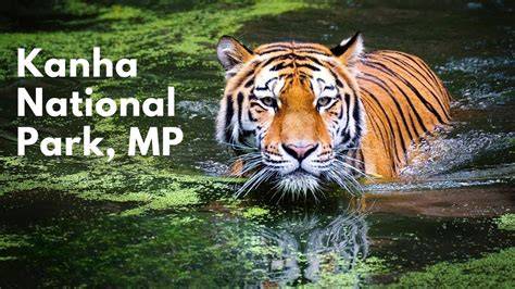Kanha National Park - raincitystudios.com