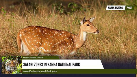 Kanha Safari Zones | Core, Buffer & Entry Gates - raincitystudios.com