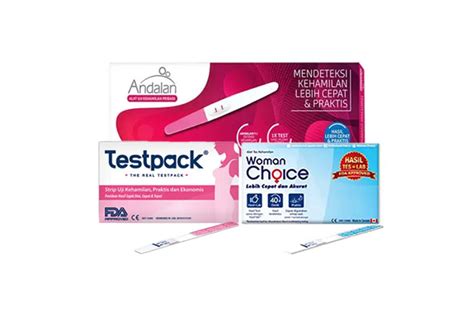 Kapan Bisa Cek Kehamilan - wintechmobiles.com