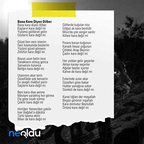 codini.rgarabwor.edu.pl. 