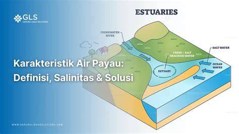 Karakteristik dan Ekosistem Air Payau | PDF - Scribd - raincitystudios.com