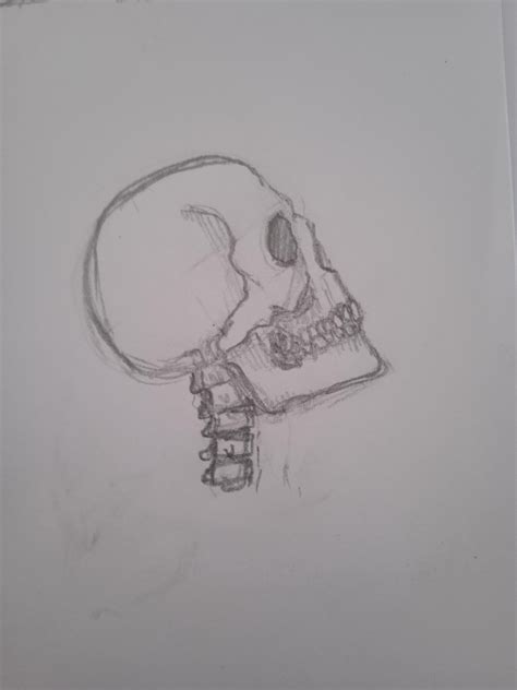 codini.rgarabwor.edu.pl. 