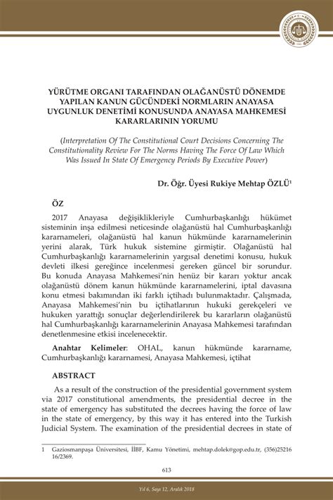 KARARLARININ YORUMU.