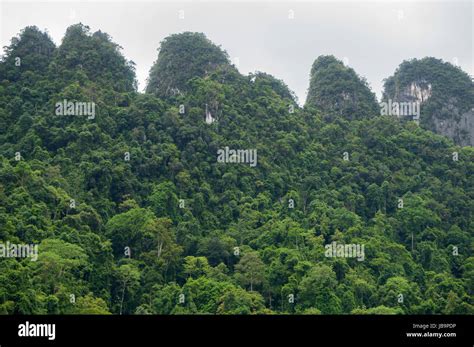 Karst in Southeast Asia | The Physical Geography of Southeast Asia ... - wintechmobiles.com