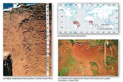 Karst Topography -11- Flashcards | Quizlet - wintechmobiles.com