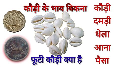 Kaudi Kya Hota Hai - wintechmobiles.com