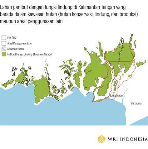Kawasan lindung yang terdapat di Kalimantan adalah... - Roboguru - raincitystudios.com