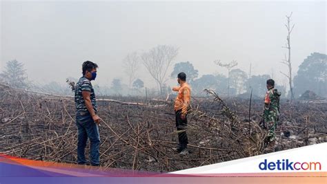 Kebakaran hutan lindung terjadi di kawasan simpang masuk ... - raincitystudios.com