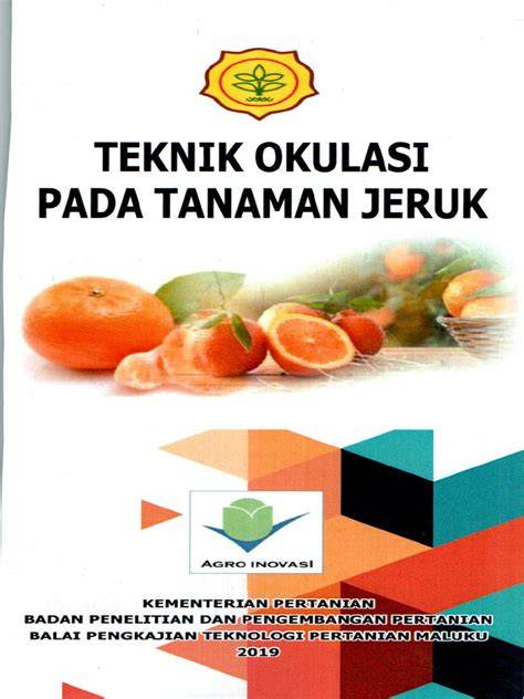Keberhasilan Okulasi Tanaman Jeruk | PDF - Scribd - raincitystudios.com