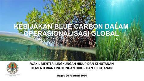 KEBIJAKAN BLUE CARBON DALAM OPERASIONALISASI GLOBAL - raincitystudios.com