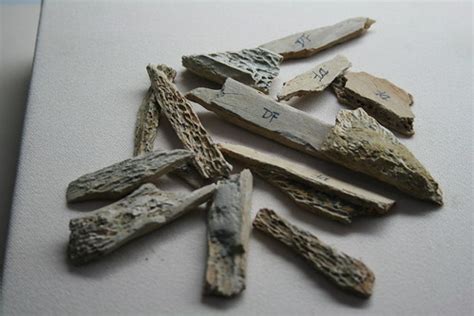 Kebudayaan Ngandong - Wikipedia bahasa Indonesia, ensiklopedia … - wintechmobiles.com