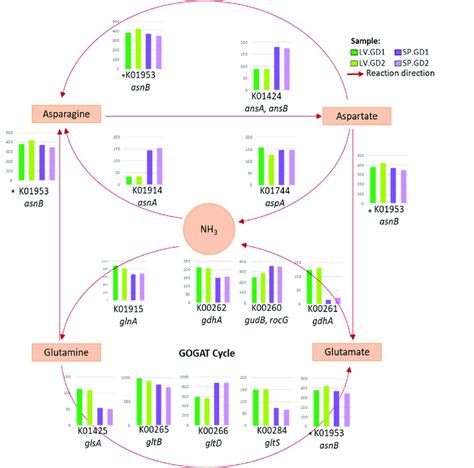 KEGG ORTHOLOGY: K09444 - Genome