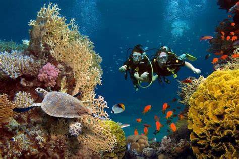 Keindahan Taman Bawah Laut Bunaken Indonesia - raincitystudios.com