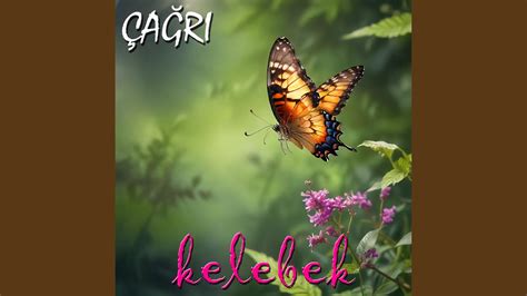 KELEBEK YouTube.