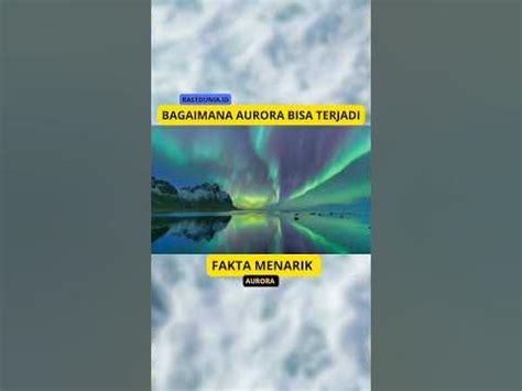 Kenapa Ada Aurora - muktibox.com